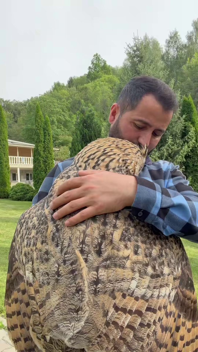 man embracing owl