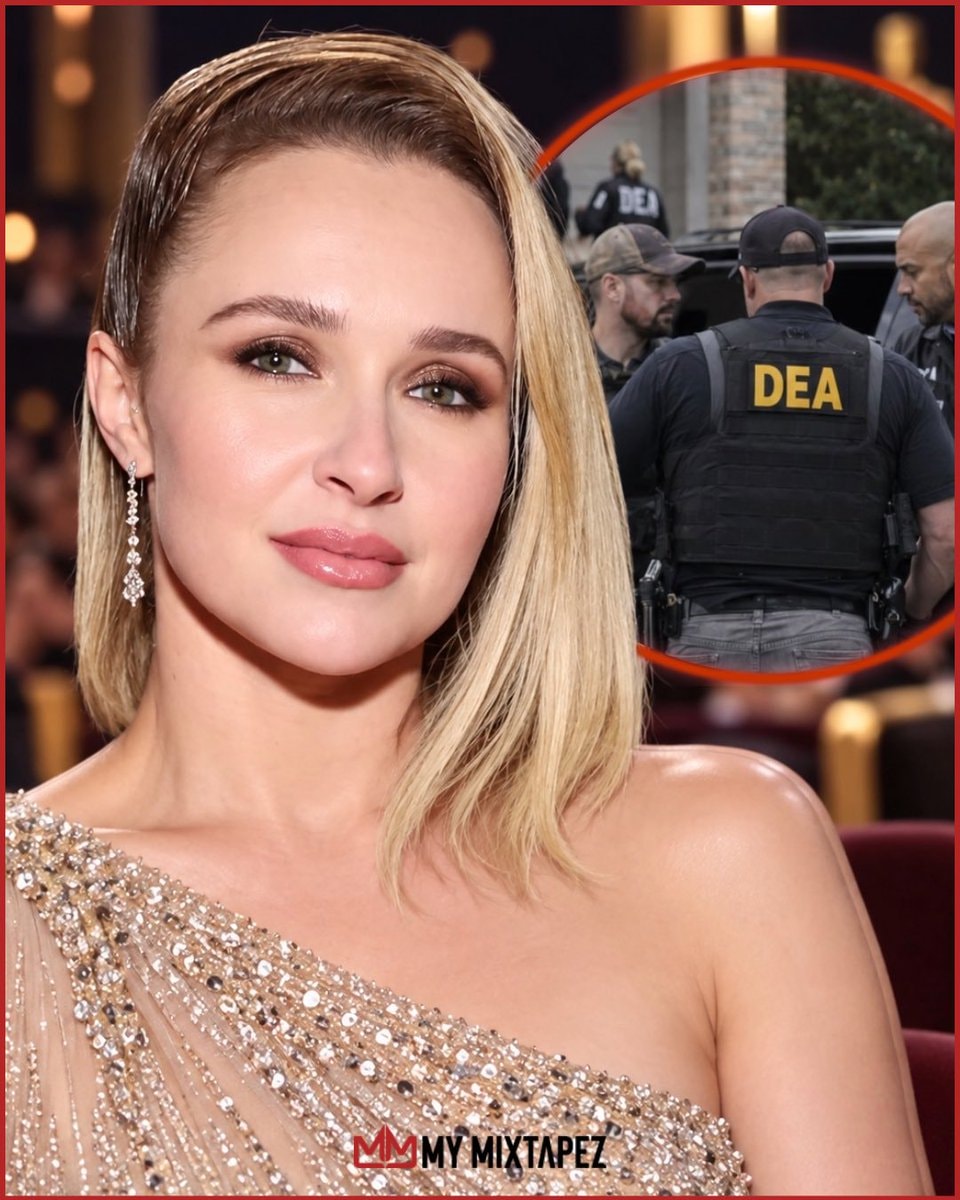 Hayden Panettiere DEA investigation
