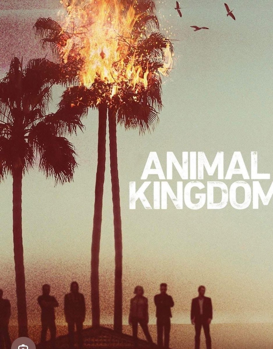 Animal Kingdom poster