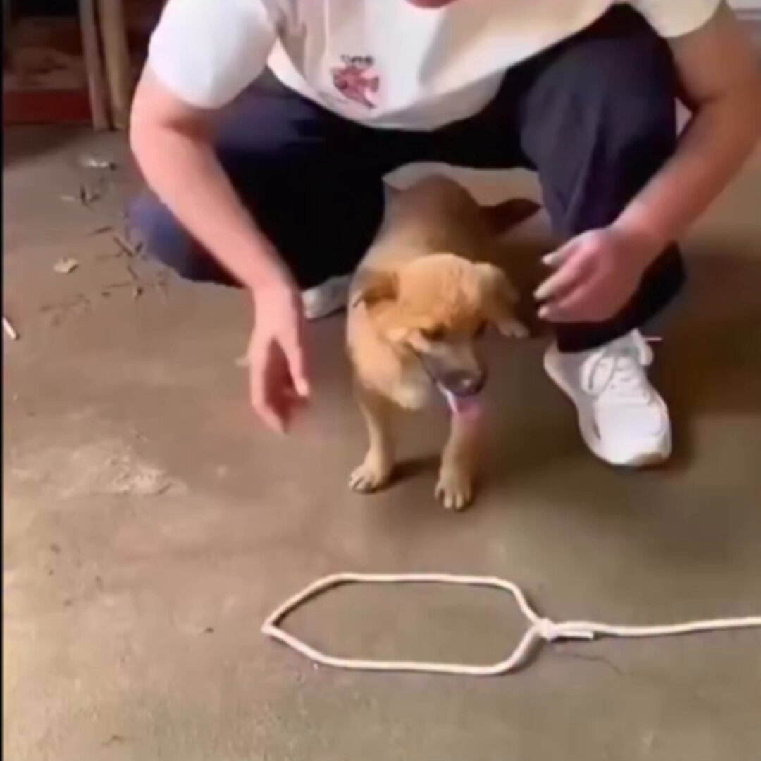 practical knot-tying techniques