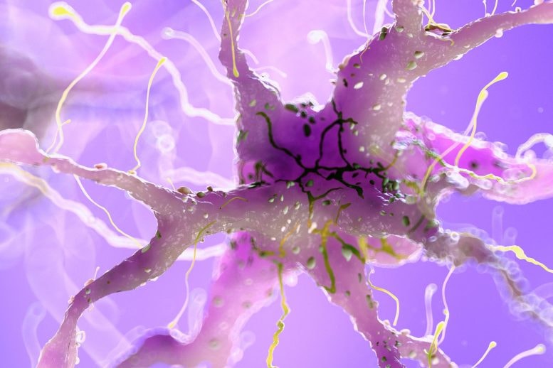 Cambridge Scientists reverse nerve damage (photo 2 of 2)
