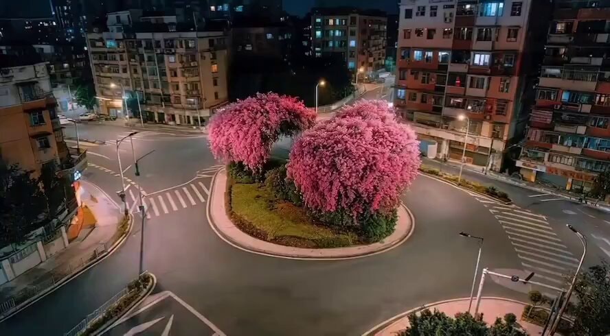 magical night roundabout