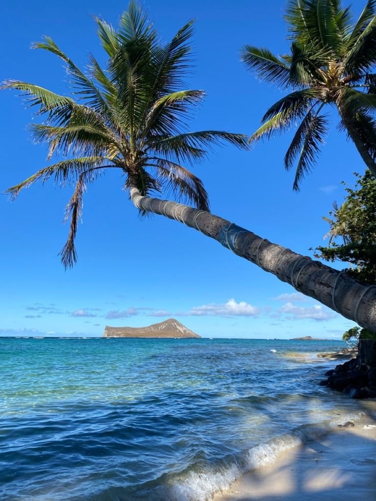 Oahu Beach Hawaii