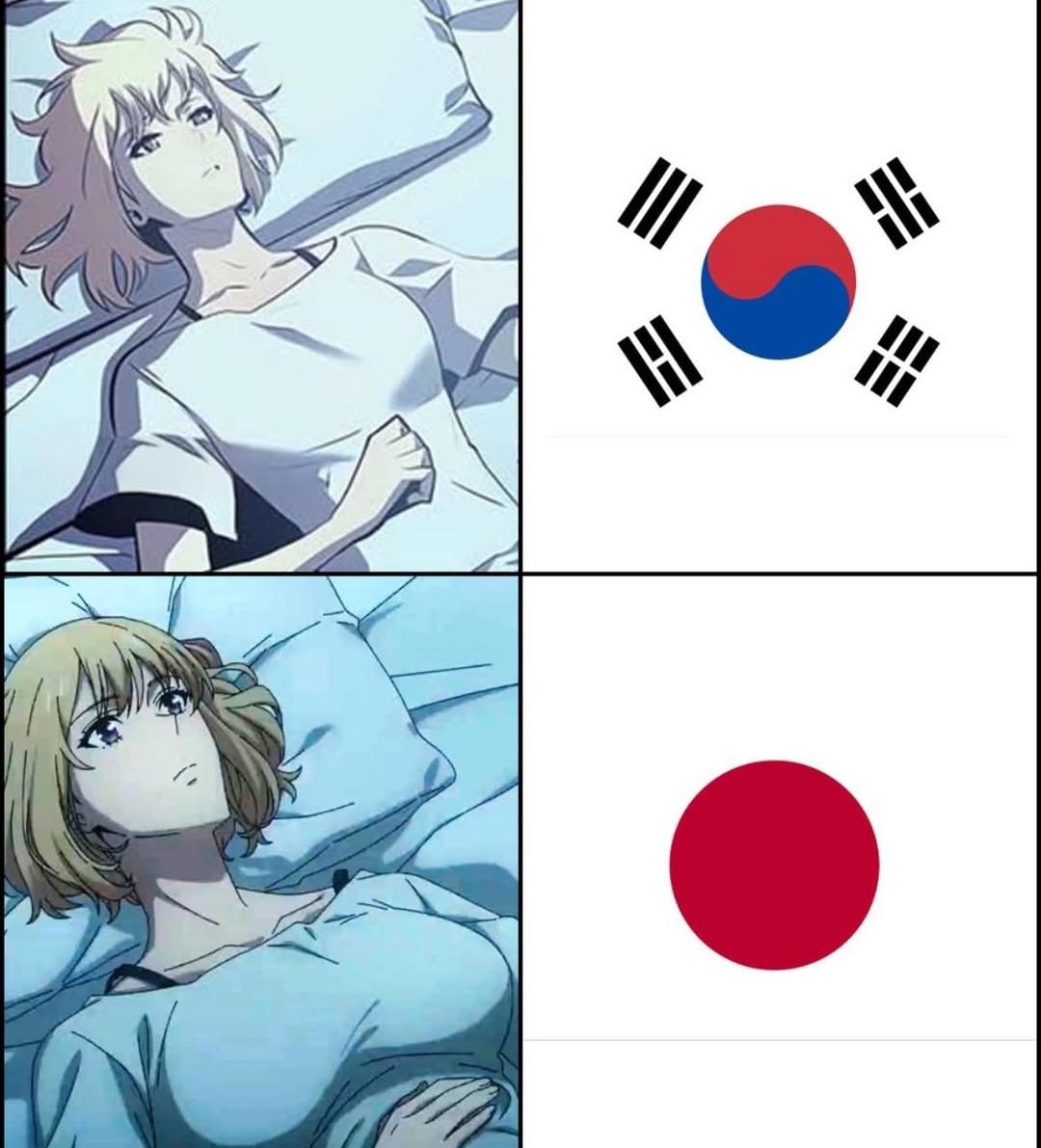 anime character flags meme anime character flags meme