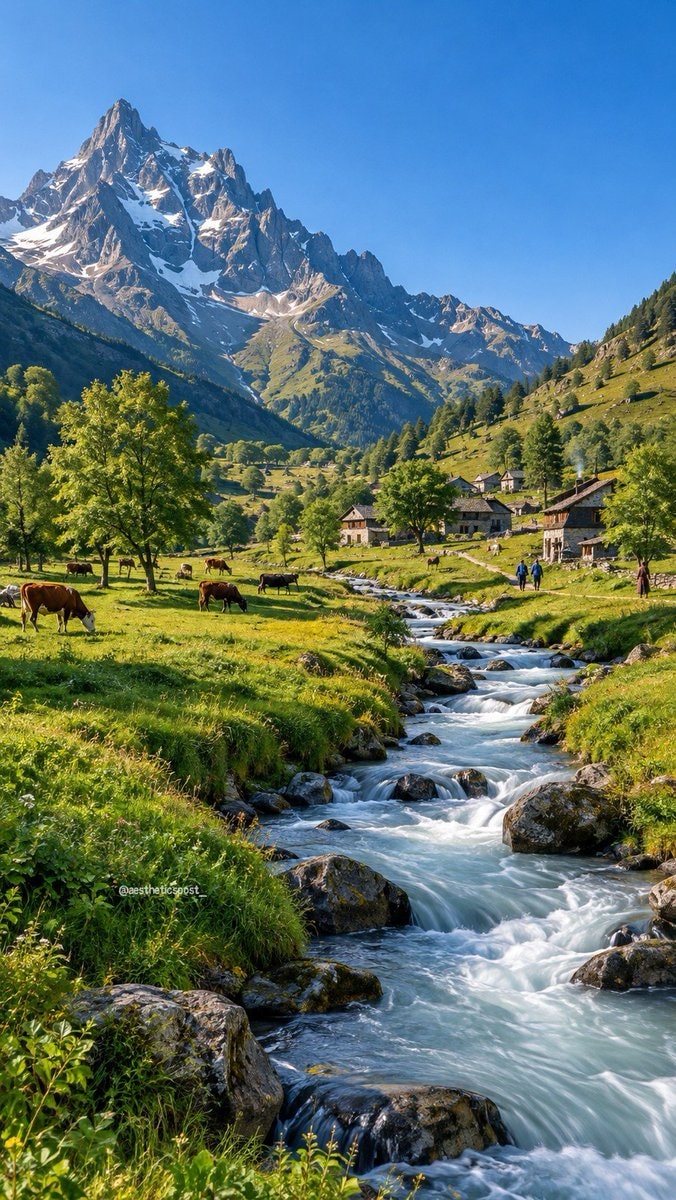 mountain valley with grazing cows mountain valley with grazing cows