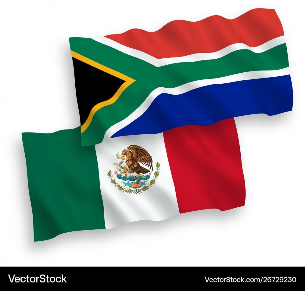 South Africa 2 red cards vs Mexico (photo 2 of 2)