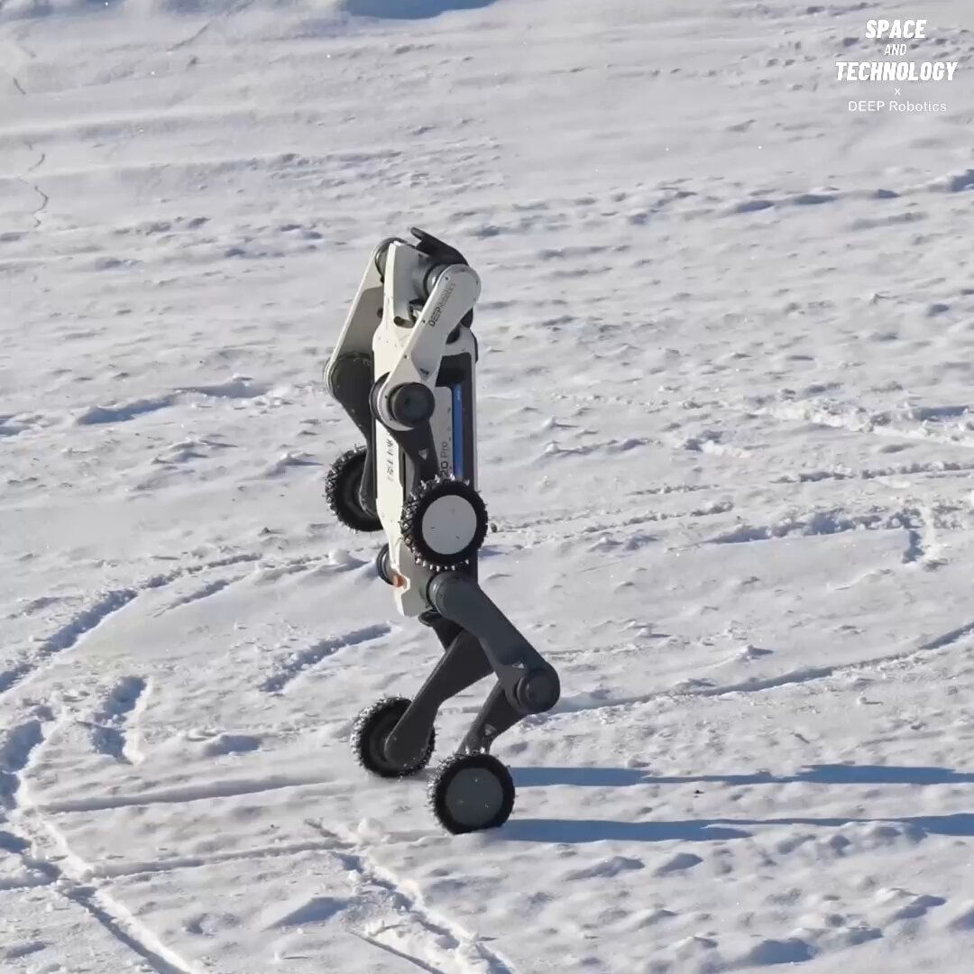 DEEP Robotics Lynx M20 tests in China