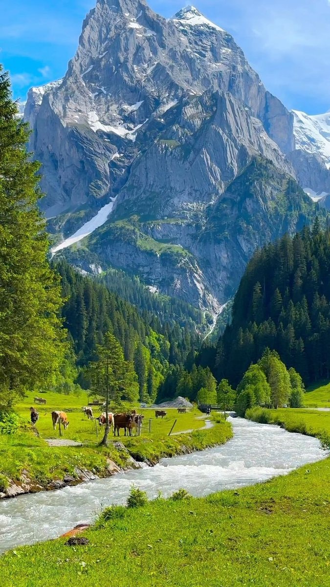 Switzerland village mountains 🇨🇭 (photo 3 of 4)