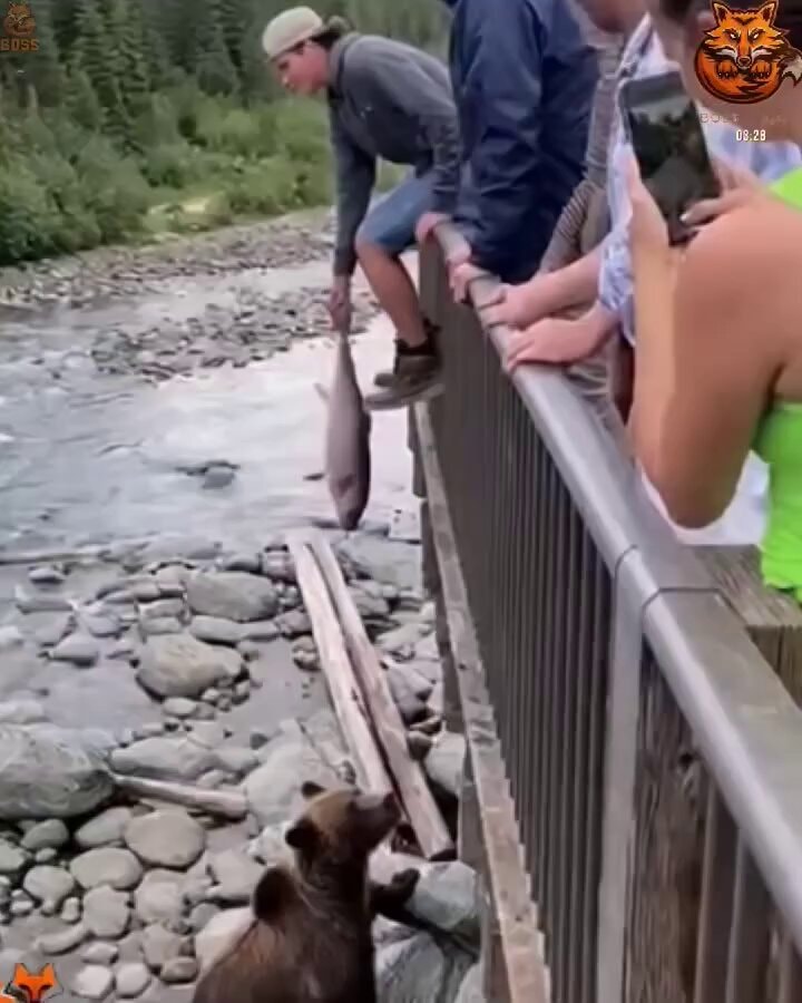 funniest moment caught on camera