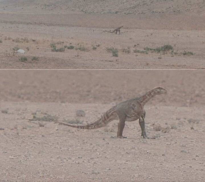 Iran dinosaur rumor clarification