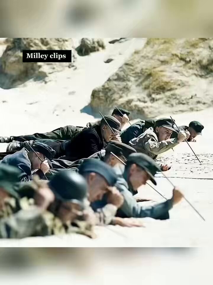 Danish officer dog death minefield