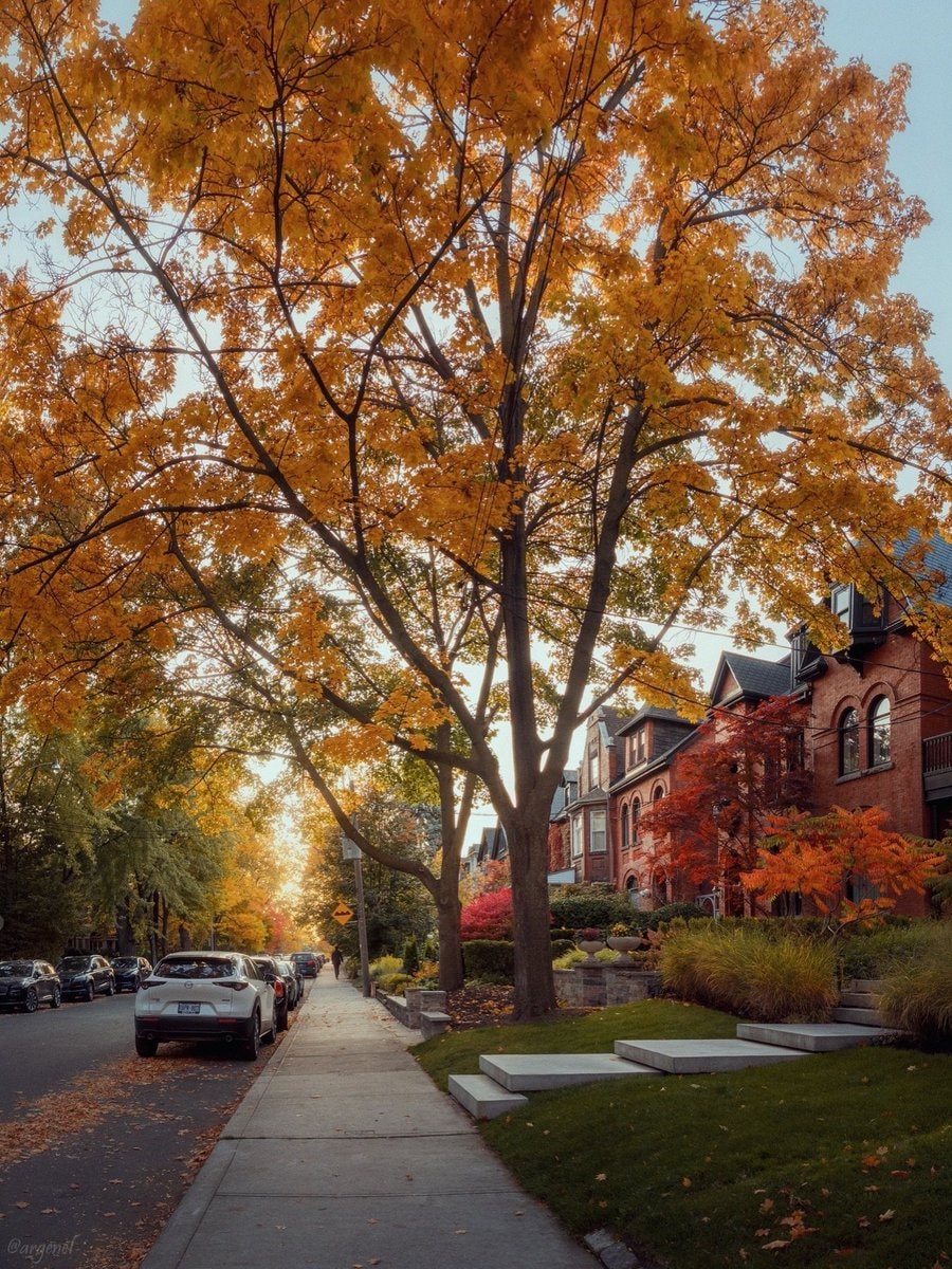 toronto canada (photo 3 of 4)