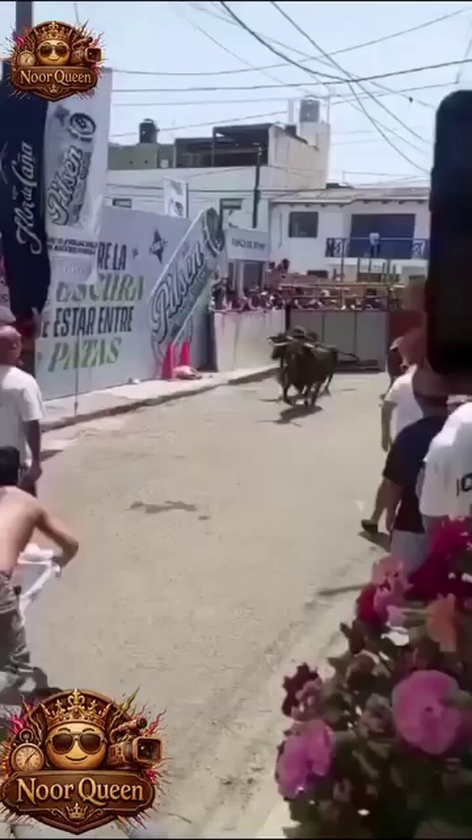 bull running down the street