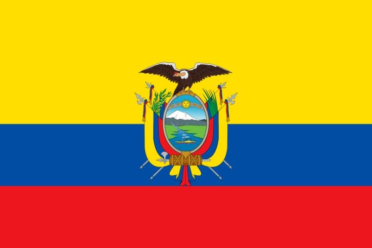 Ecuador FIFA World Cup history 🇪🇨 (photo 2 of 2)