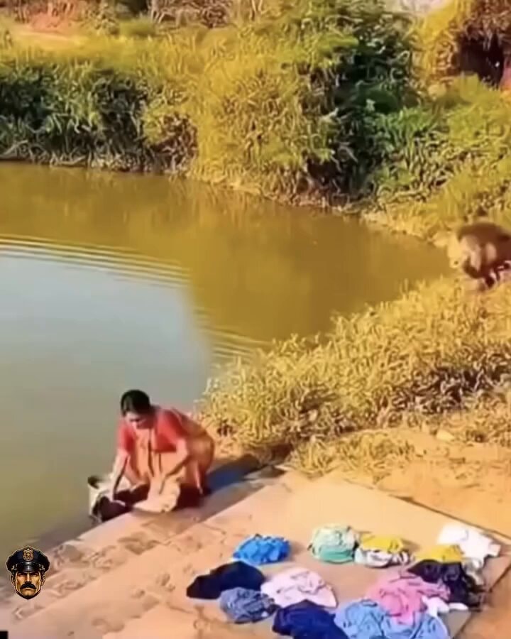 funny moments caught on camera