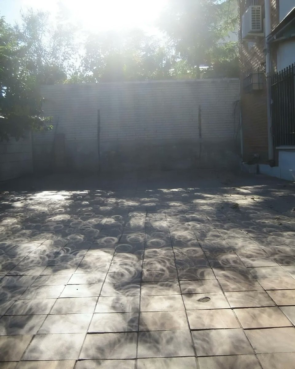 Crescent shadows during an eclipse (photo 4 of 4)
