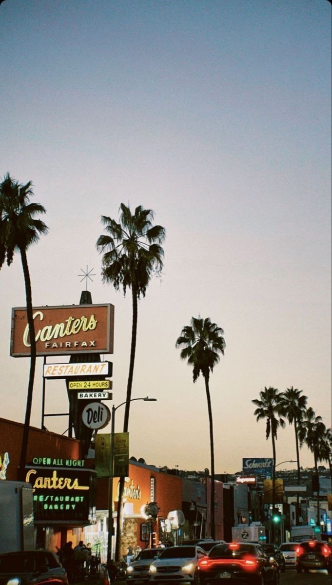 City street with palm trees (photo 4 of 4)