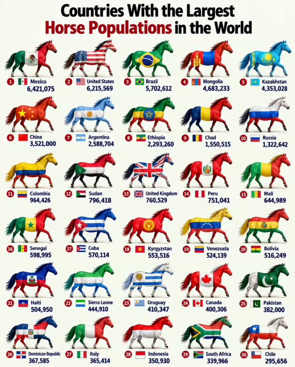 Countries With the Largest Horse Populations