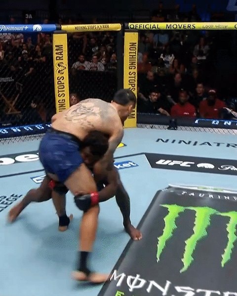UFC wrestling takedown