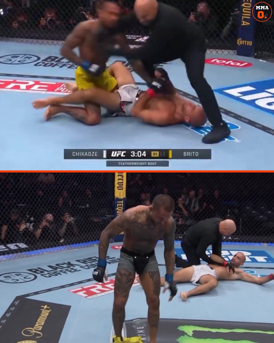 Joanderson Brito ground and pound finish