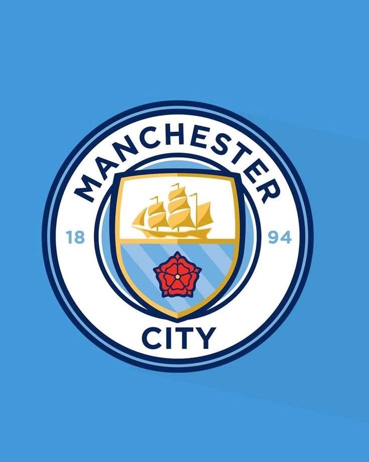 Manchester City Enzo Fernandez transfer