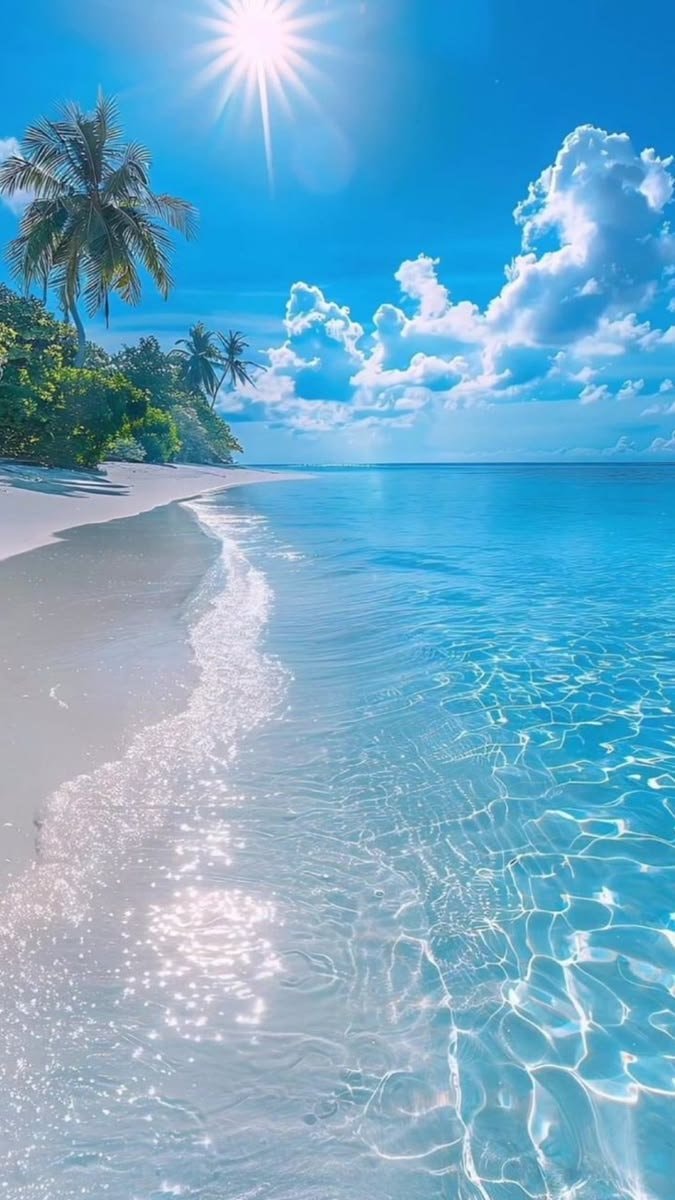 Maldives paradise (photo 2 of 2)
