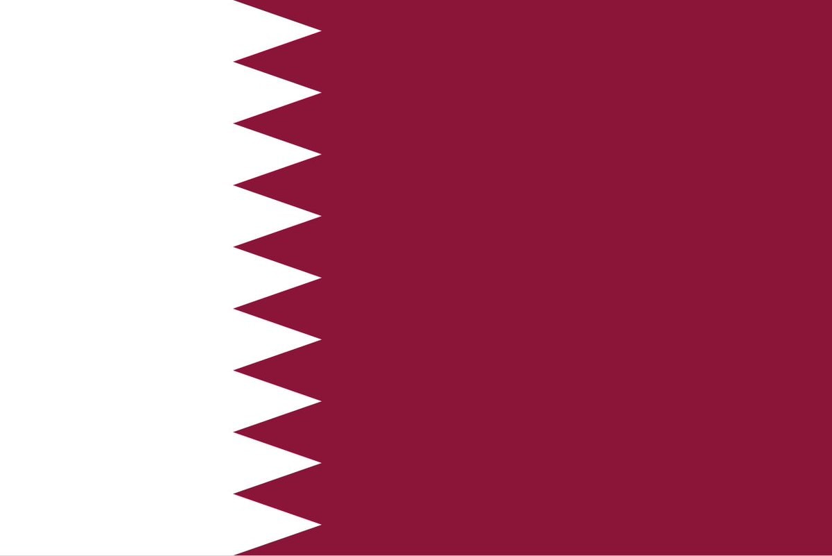 Switzerland vs Qatar World Cup 1-0 (photo 2 of 2)