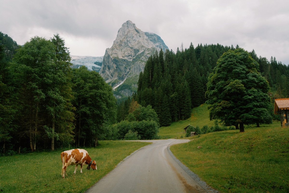 Switzerland landscape