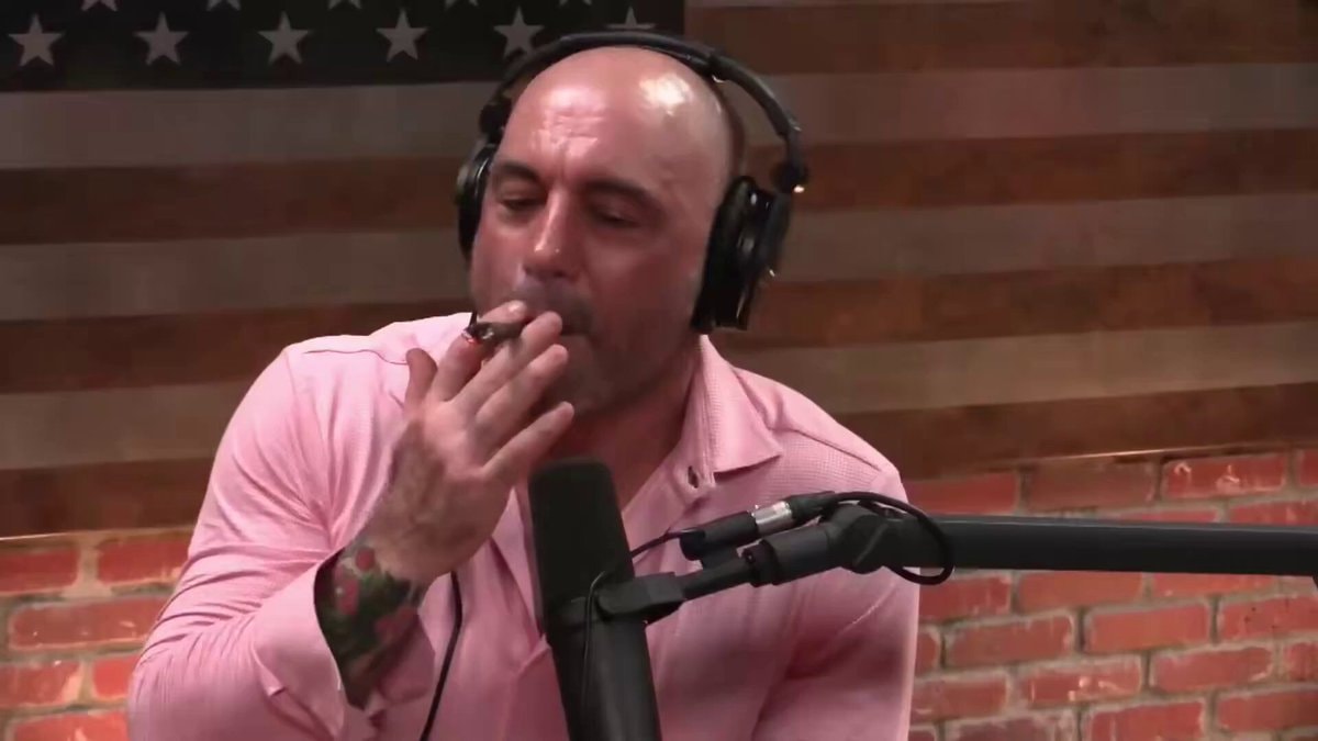 Elon Musk Joe Rogan Weed Moment Elon Musk Joe Rogan Weed Moment