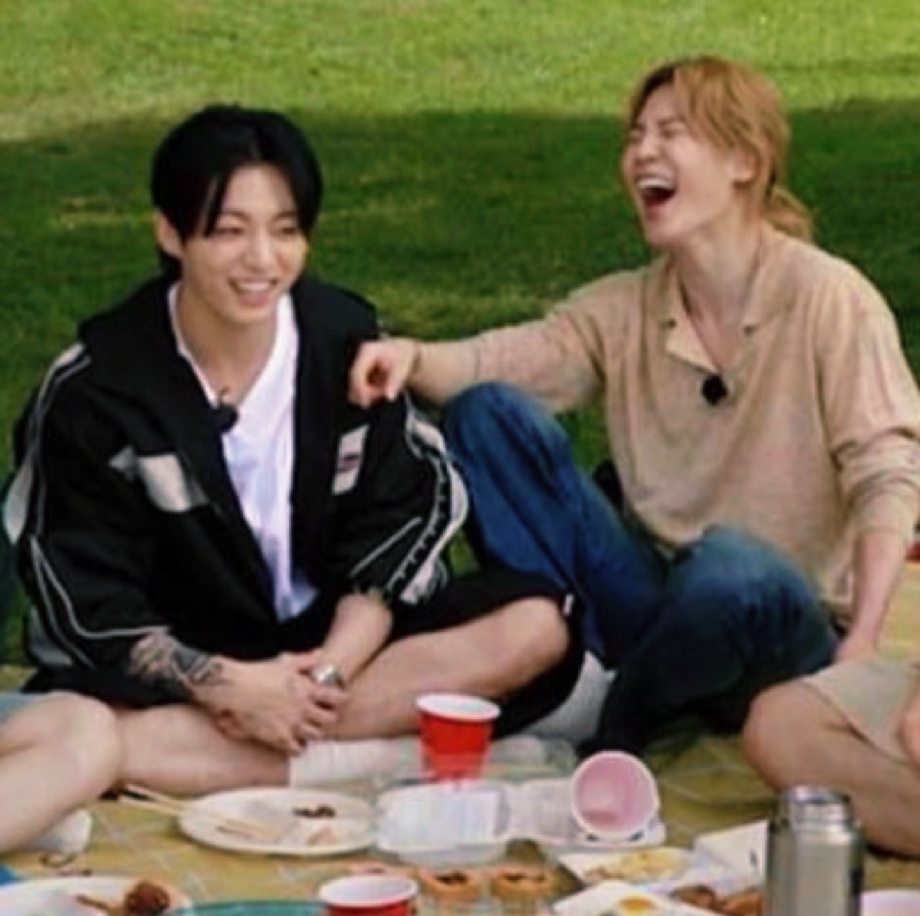 picnic joy
