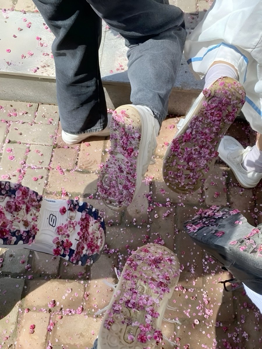 pink petals on city street (photo 2 of 2)