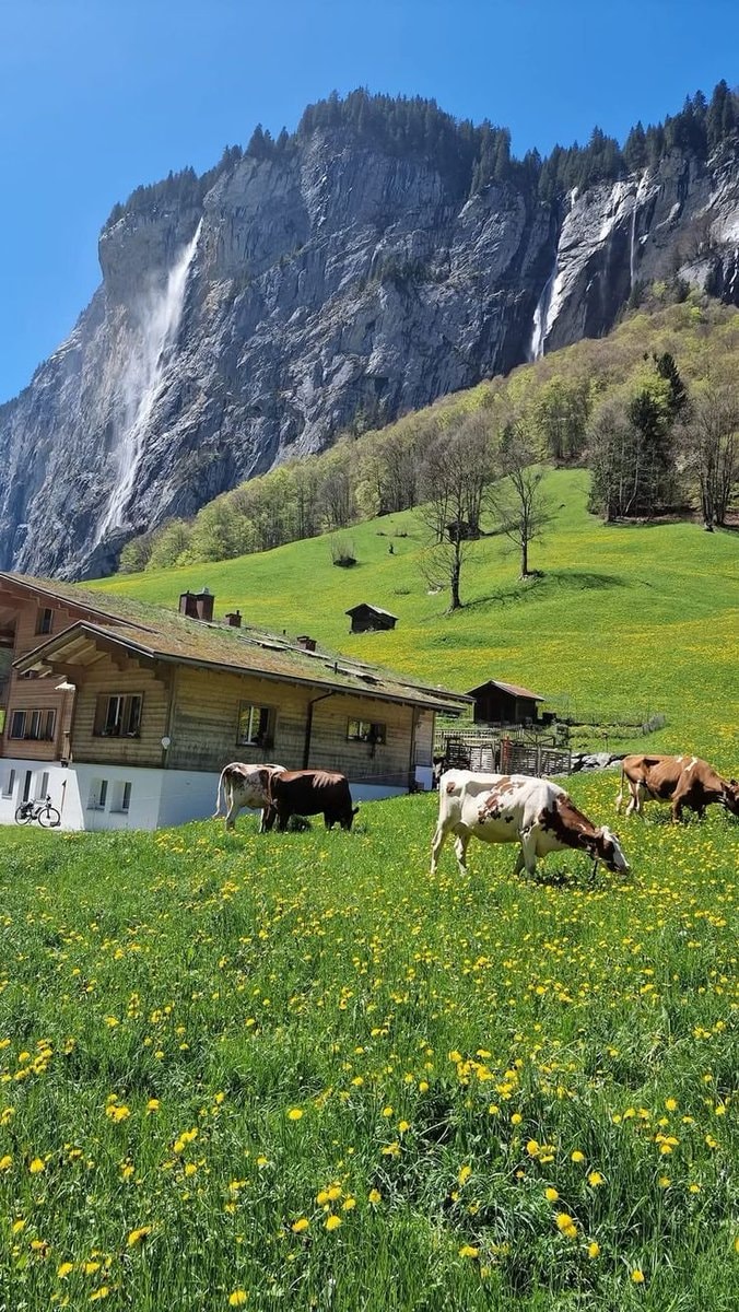 Switzerland chalet waterfall (photo 4 of 4)