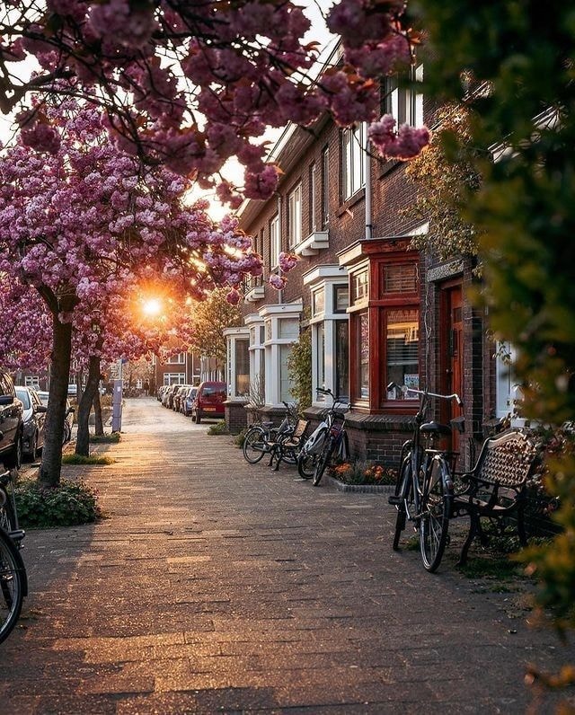 Utrecht Netherlands canal (photo 2 of 2)