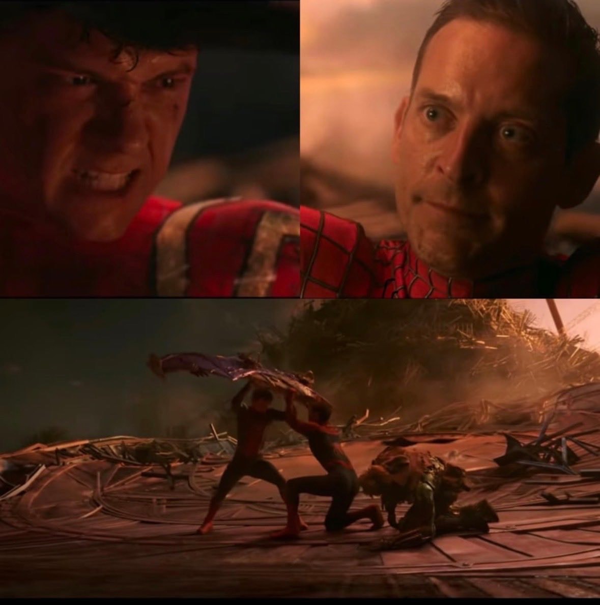 Peter symbiote crashout prediction