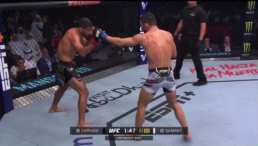 Dariush knockout Gamrot UFC