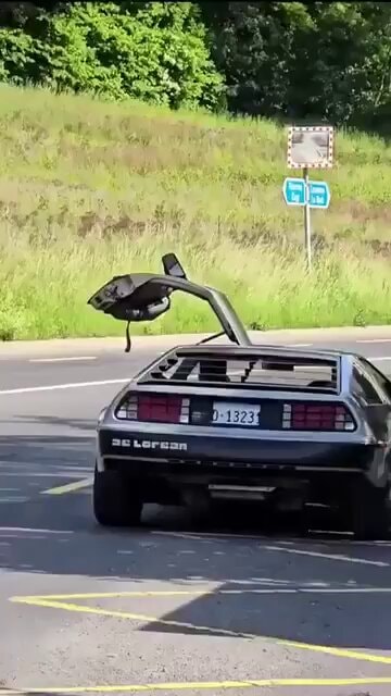 DeLorean D-1323 accident speculation