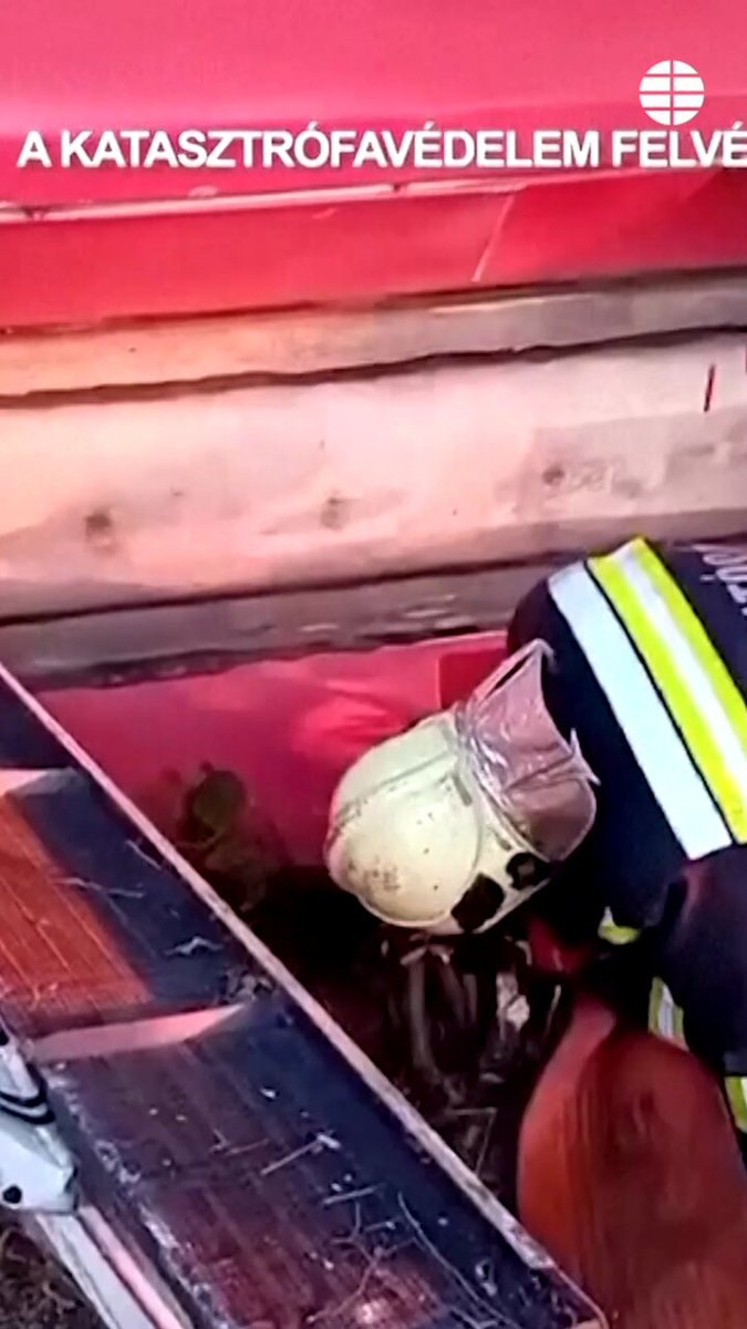 Hungary bus accident emergency response