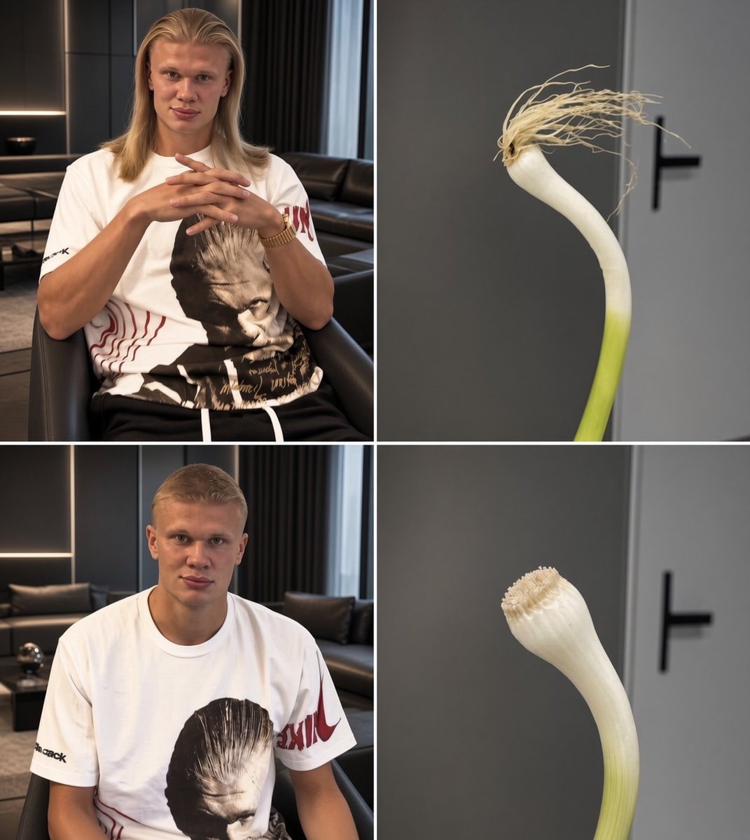 Erling Haaland leek photo