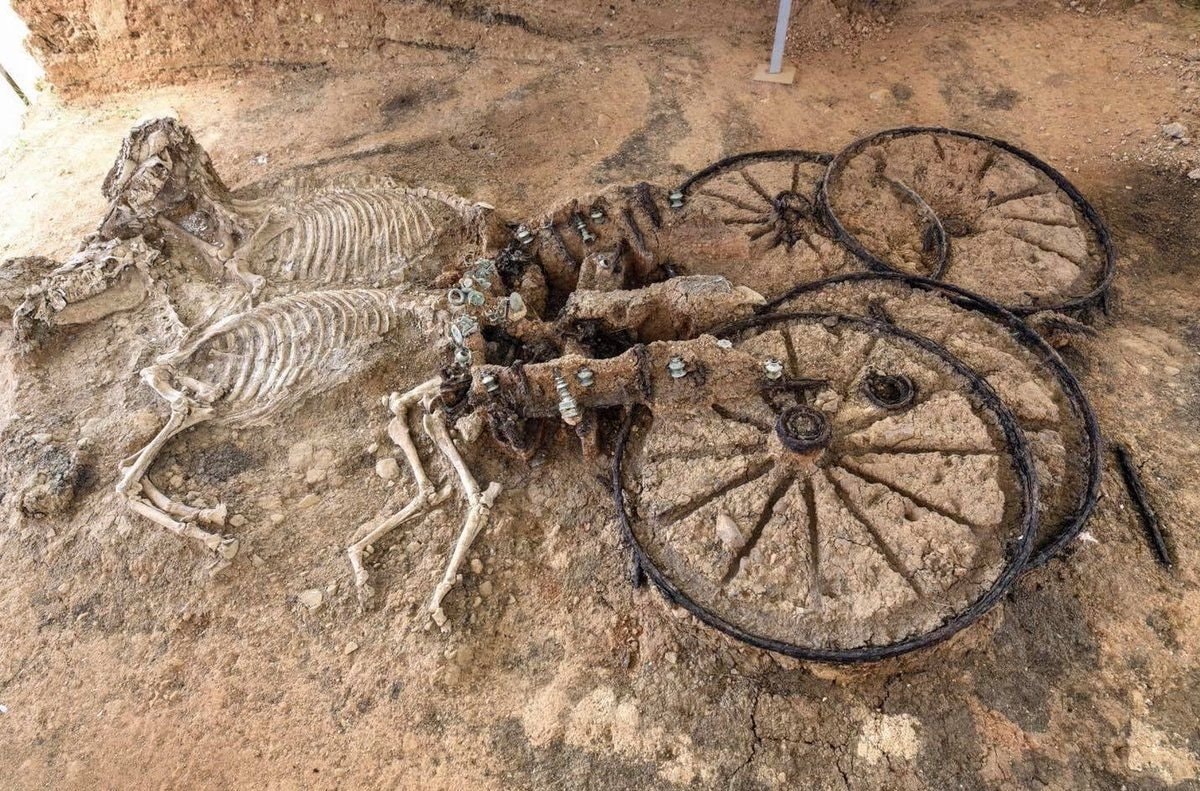 Thracian chariot with horse skeletons Thracian chariot with horse skeletons