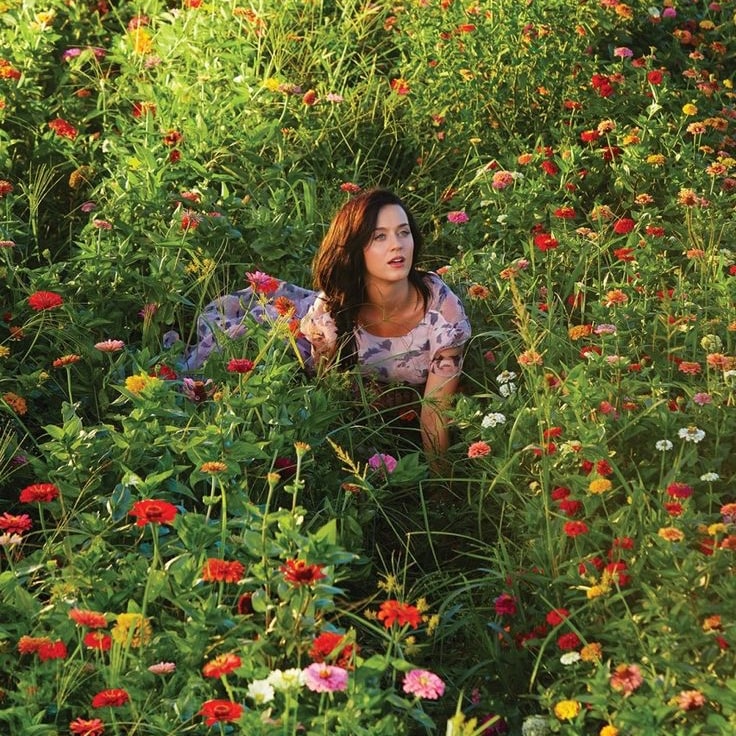 Katy Perry Legendary Lovers Spotify (photo 2 of 2)