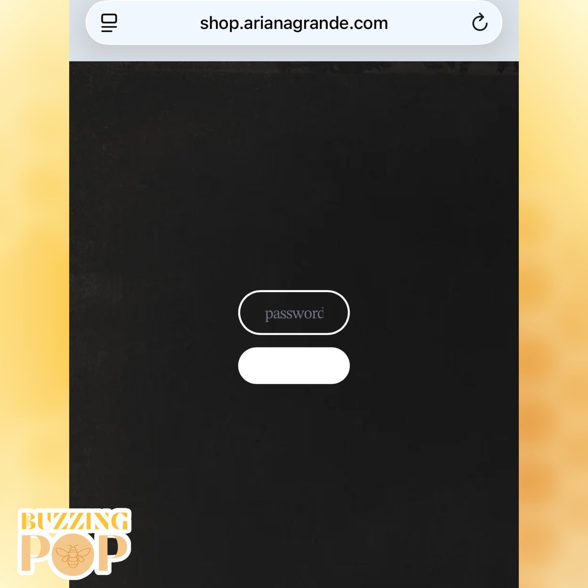 Ariana Grande website password (photo 2 of 2)