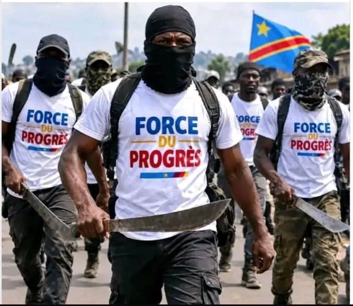 Force du Progrès militia Kinshasa