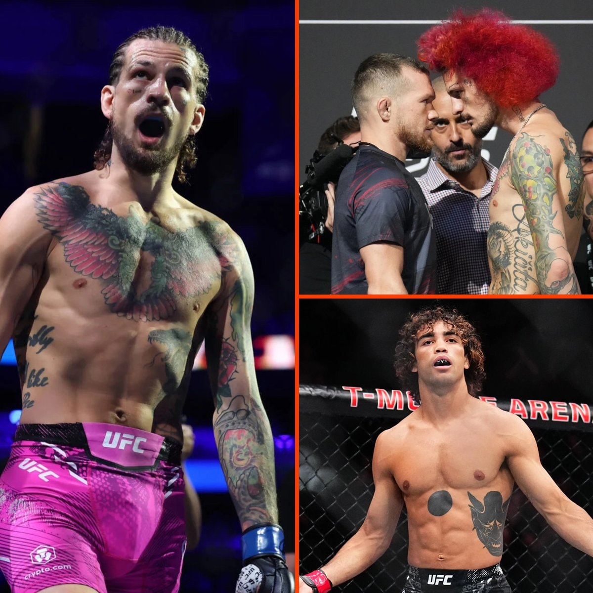 Sean O'Malley fight options