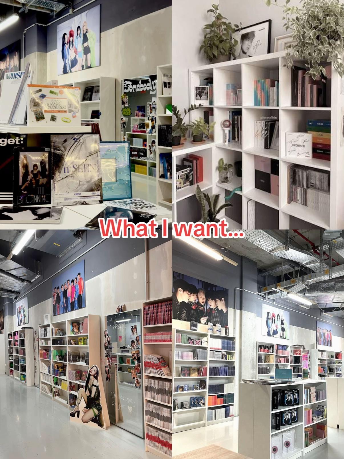 What Kids want (photo 3 of 3)