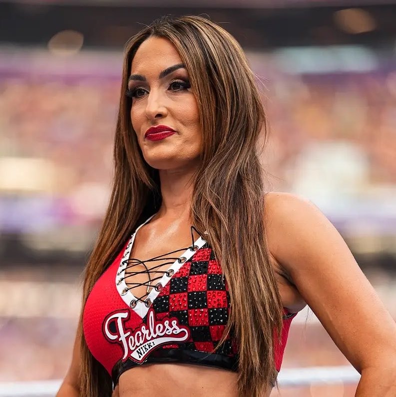 Nikki Bella Paige online story Nikki Bella Paige online story