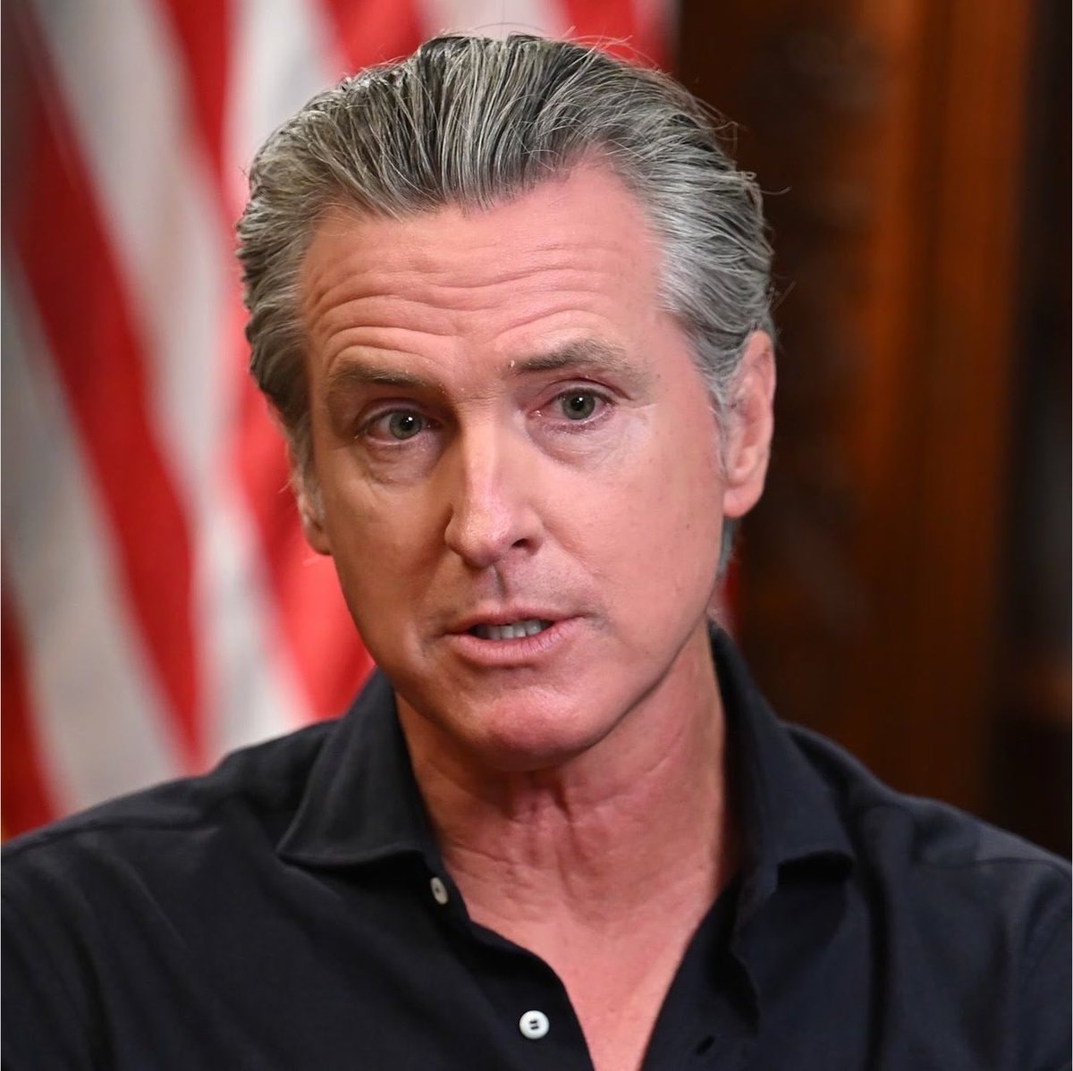 Gavin Newsom California Flock cameras (photo 1 of 2)