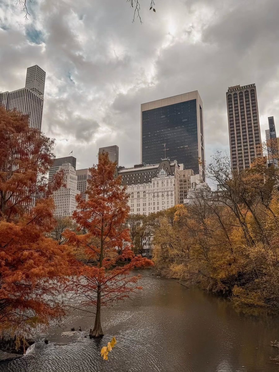 Central Park New York