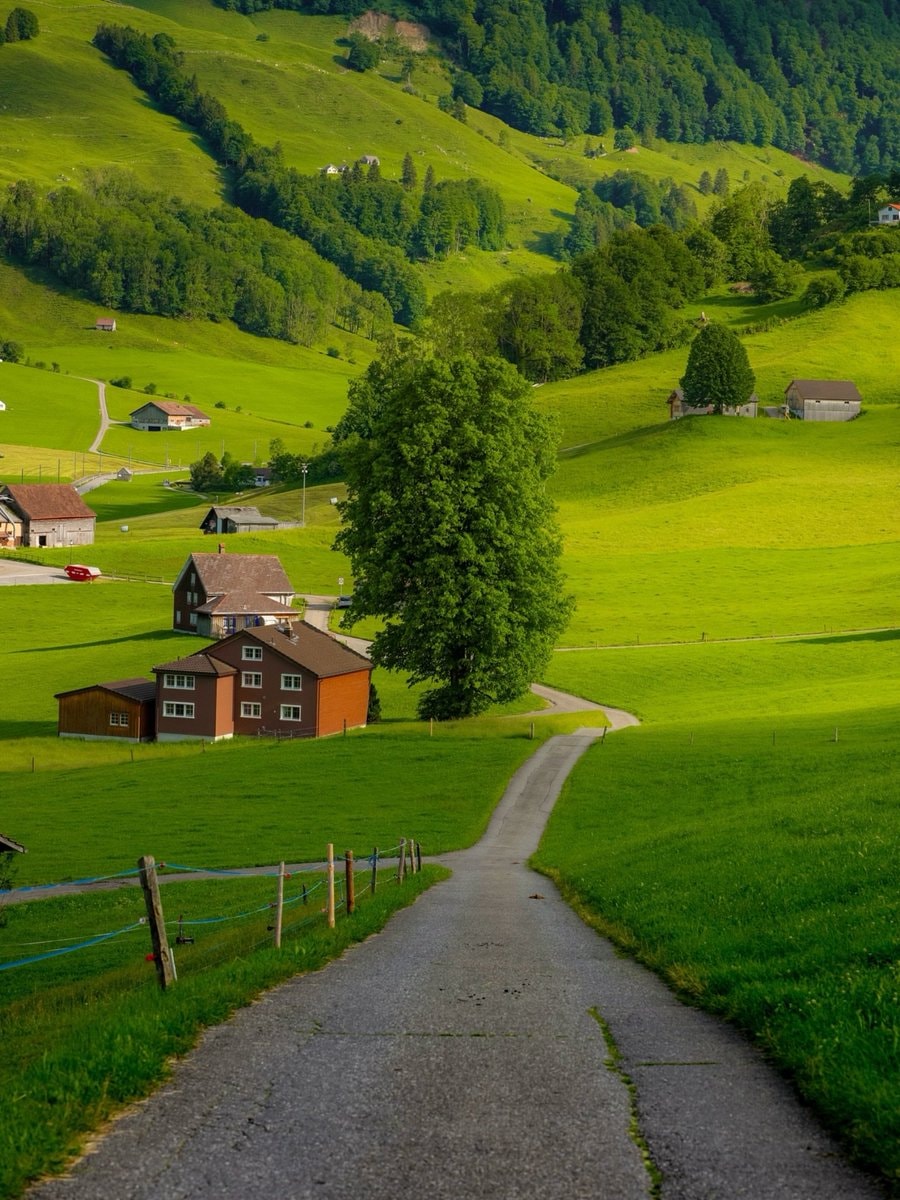 Switzerland hillside village (photo 3 of 4)