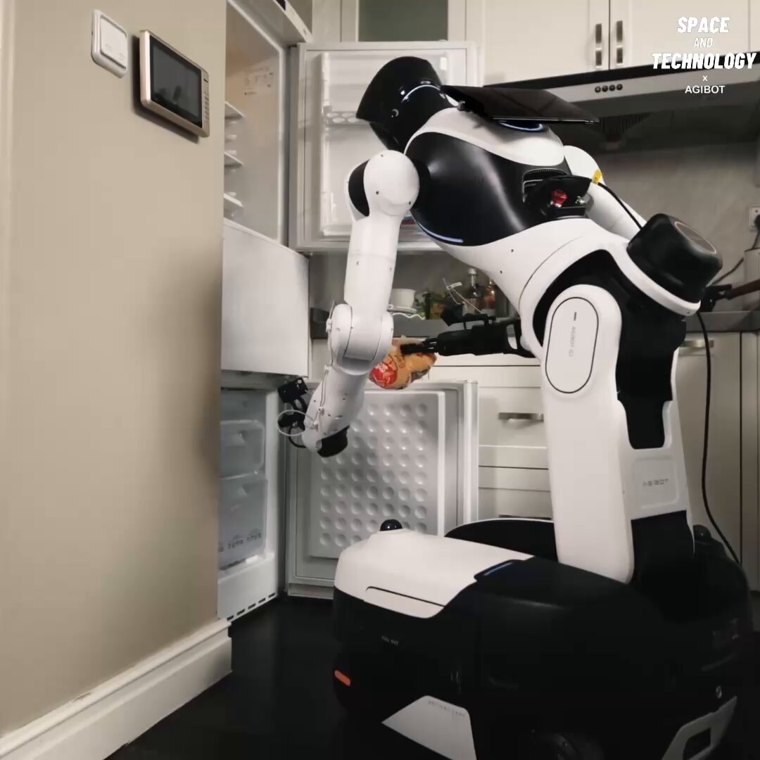 AGIBOT WORLD 2026 Theme 3 dataset