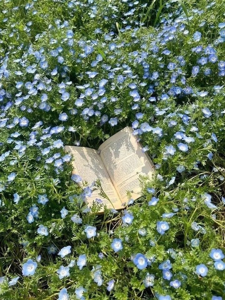 forget-me-nots bouquet wheat field (photo 2 of 2)